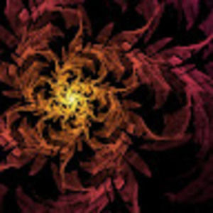 Meet your Posher, Tripp